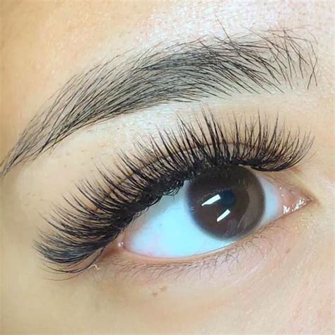 Best Eyelash Extension Curl Guide Guide For Lash Business Starseed