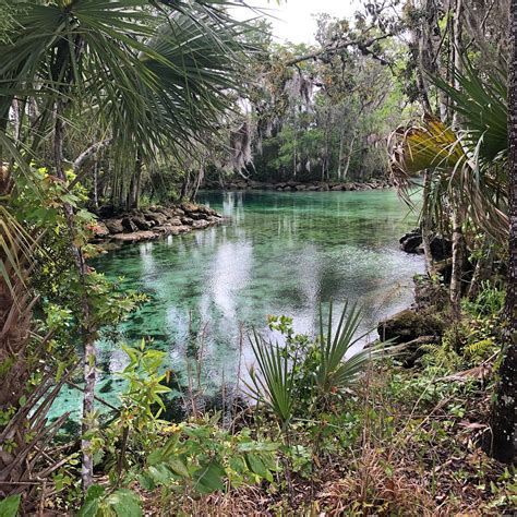 Three Sisters Springs Crystal River Ce Quil Faut Savoir