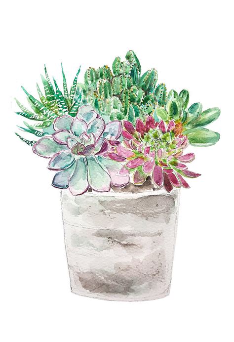 Succulents And Cactus In Pot Watercolor 2020 Painting By Color Color