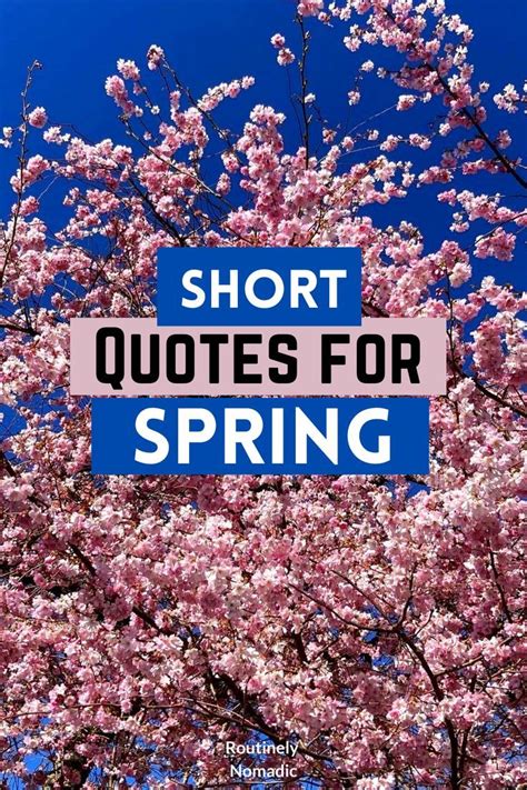 Short Spring Quotes In 2023 Spring Quotes Spring Funny Quotes New