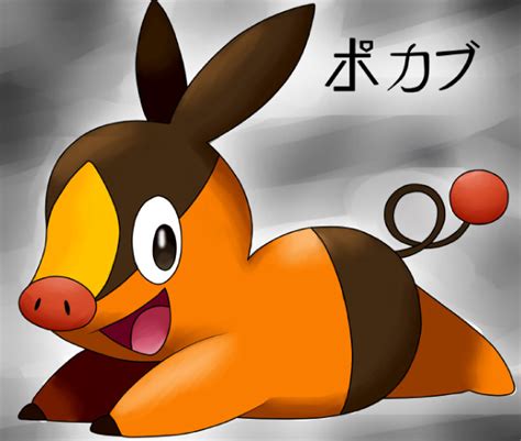 5th Gen Pokemon Pokabu By Marajoo On Deviantart