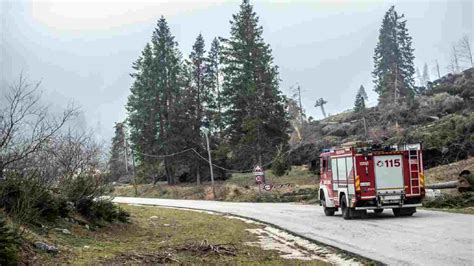 Nell' incidente è rimasta coinvolta un'auto che stando ai primi accertamenti si apprestava a entrare all'interno dell' area di servizio quando ha sbattuto con violenza contro la cuspide del guardrail che. Pesaro, camion prende fuoco sull'autostrada A14: morto il ...