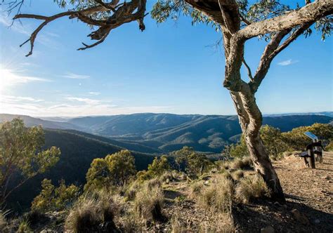 Hill End Nsw Plan A Holiday Accommodation Maps And Historic Sites