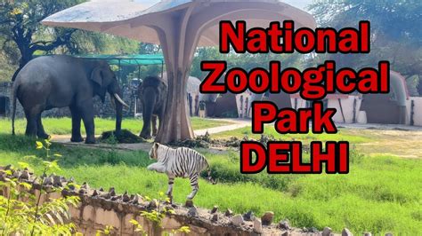 National Zoological Park Delhi Viralvideo Trendingshorts