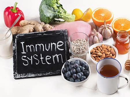 Immune function arises from the healthy bacteria of your gut. Foods That Help Boost Your Immune System - KB Chiropractic