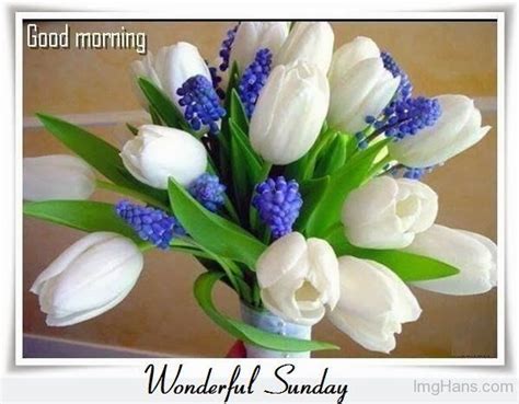 Good Morning Wonderful Sunday Pictures Photos And Images For