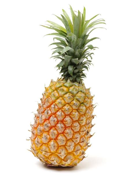 Whole Pineapple With Green Leaves Stock Photo Image Of Isolated