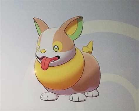 I Think The Hate For New Pokemon Yamper Is A Bit Unjustified