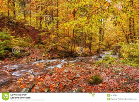 Rapid Mountain River In Autumn Stock Image Image Of Coast Colorfull