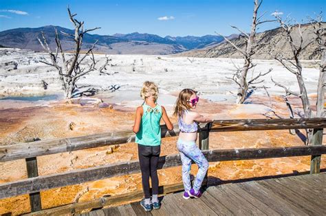 23 Incredible Things To Do In Yellowstone National Park For First Time Visitors Y Travel