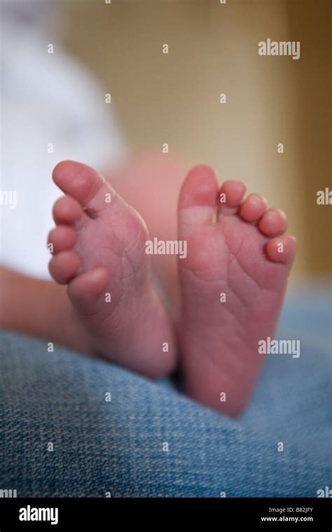 A Newborn Baby S Feet Stock Photo Alamy