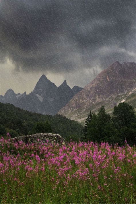 The Mountains Are Covered In Dark Clouds And Pink Flowers