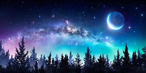 Buy Aofoto 6x3ft Starry Night Forest Backdrop Beautiful Universe Galaxy