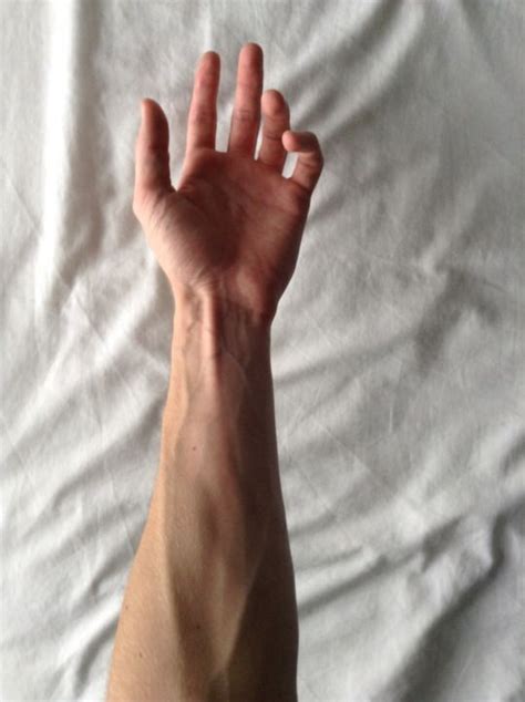 Vroengard Hand Veins Male Hands Arm Veins