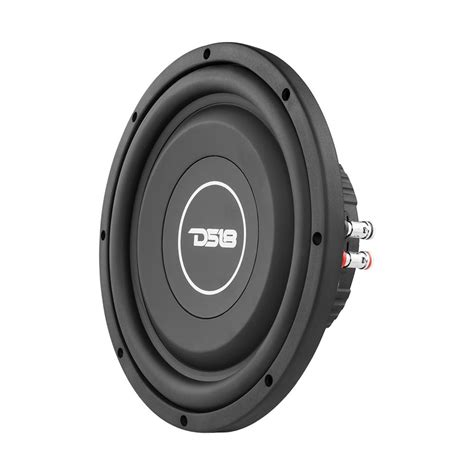 Srw Shallow 10 Inch Subwoofer 700 Watts Dvc 4 Ohm Ds18 Yittzy