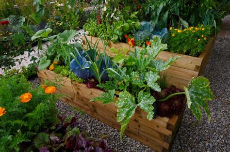 10 Ways To Get Started In Organic Gardening Pughs Garden Centres