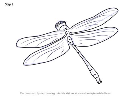Dragonfly pictures to color cute coloring. Learn How to Draw a Dragon Fly in Flight (Insects) Step by ...