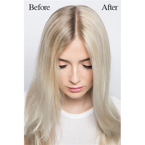 Ion Intensive Shine Hair Color Kit High Lift Neutral Blonde Hln High Lift Natural Blonde Hln