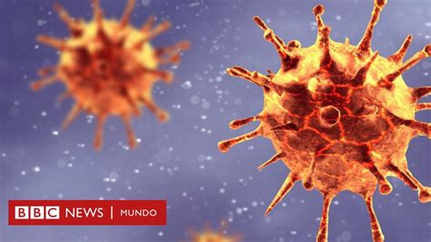 Coronavirus Por Qu Covid Se Llama As Y C Mo Se Nombran Los Virus