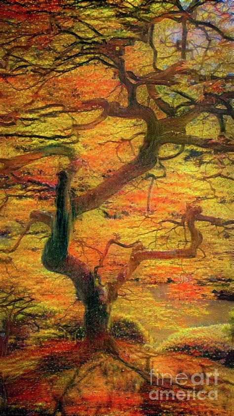 Abstract Japanese Maple Tree Digital Art By Amy Cicconi