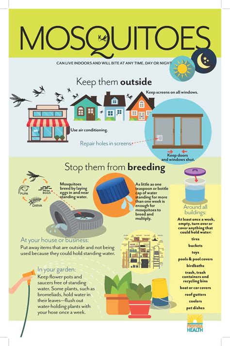 Help Prevent Mosquito Breeding Health News Florida