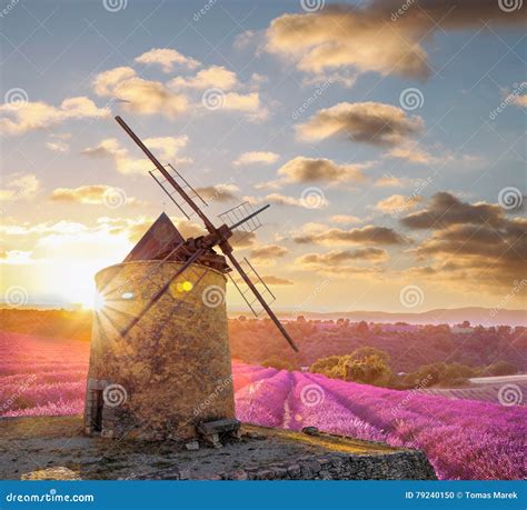 Windmill With Levander Field Against Colorful Sunset In Provence