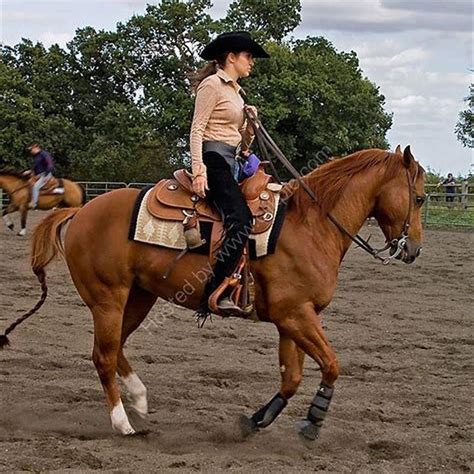 What Is Western Style Horse Riding Diy Seattle