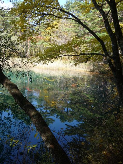 Urabandai Goshiki Numa Pondsfive Colors Ponds Walk Japanese