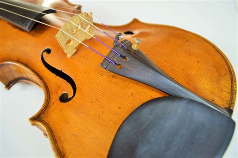 Peter Infeld Violin Strings Violinista