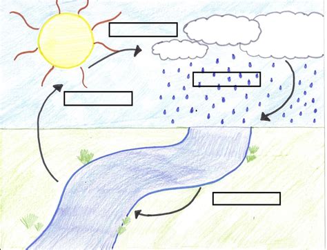 Blank Diagram Water Cycle