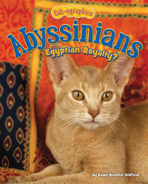 Abyssinians Bearport Publishing