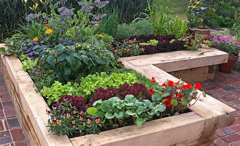 Gorgeous Raised Bed Vegetable Gardens Off Grid World