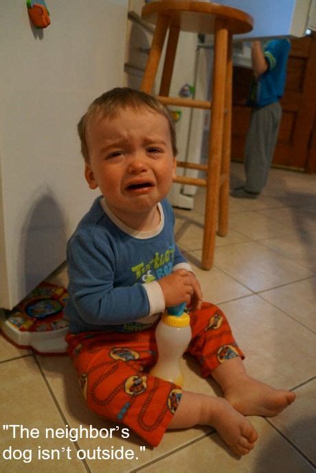 23 Best Pics From Reasons My Kid Is Crying Funny Crying Baby