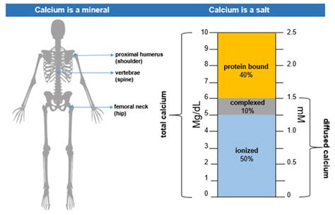 Serum calcium levels may be decreased in the presence of hypoalbuminemia. Normal Calcium Levels: What is a high calcium level ...