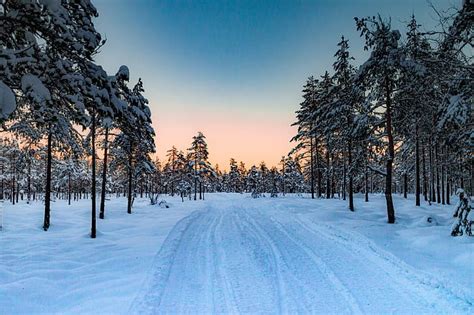 Winter Road Forest Snow Trees Sunset Norway Hd Wallpaper