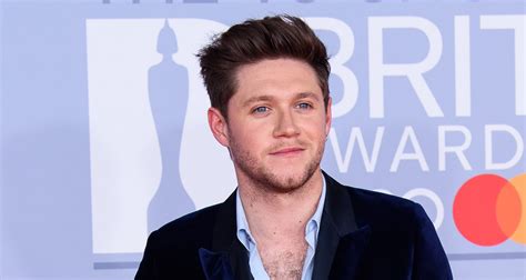 Niall Horan Shows Off Chest Hair At Brit Awards 2020 2020 Brit Awards