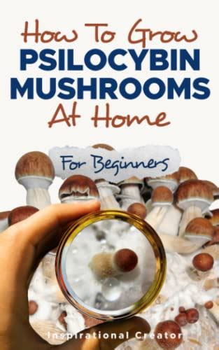 Buy How To Grow Psilocybin Mushrooms At Home For Beginners 5