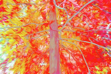 Tree Fall Colors 12 Digital Art By Chris Taggart Fine Art America