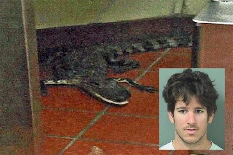 Florida Man Charged With Throwing Alligator Through Wendys Drive Thru