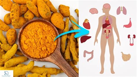 Turmeric Uses Health Benefits Side Effects How To Relief