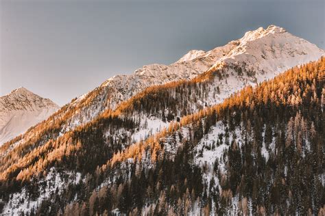 Snowy Mountain · Free Stock Photo