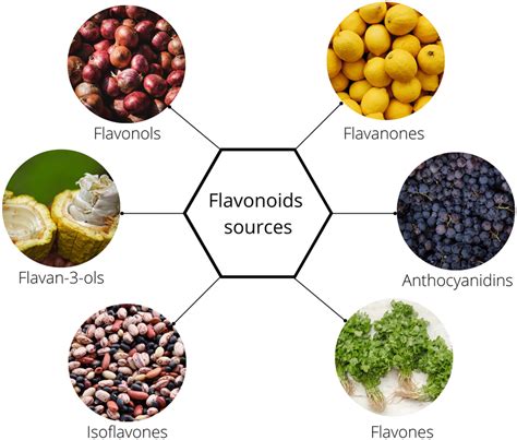 Food Sources With Rich Flavonoids Content Flavonoids May Be Divided