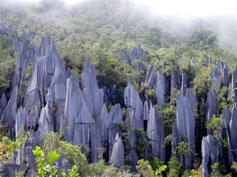 The Six Best National Parks On The Planet With Images Gunung Mulu