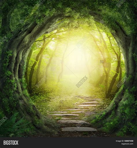 Road Magic Dark Forest Image And Photo Free Trial Bigstock