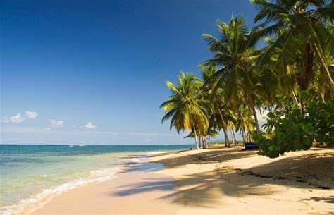 Las Terrenas Samana Caribbean Travel Beach Playa
