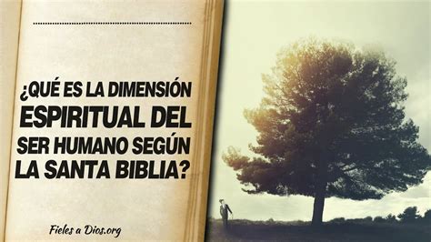 ¿qué Es La DimensiÓn Espiritual Del Ser Humano Según La Biblia 📖