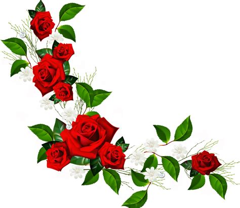 Flower Rose Red Clip Art Rose Border Png Download 1137987 Free
