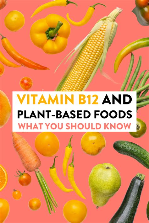 Vitamin B12 And The Plant Based Diet B12 Vegan Vitamin B12 Vitamine