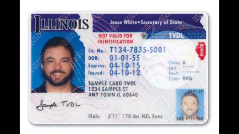 Illinois Drivers License Template
