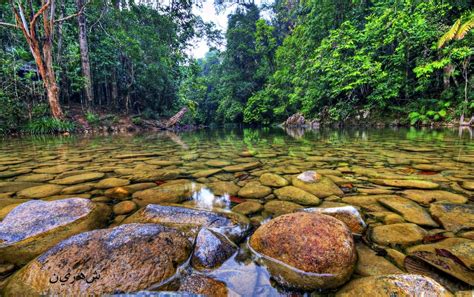 Taman Negara Endau Rompin Johor Kawasan Rekreasi Di Dalam Hutan My